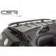 Heckflügel für Peugeot 206 CC HF261