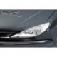 Scheinwerferblenden für Peugeot 206 SB166