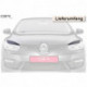 Scheinwerferblenden für RENAULT Megane III 3 SB247