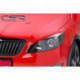 Scheinwerferblenden für SKODA Fabia 2 Roomster SB164