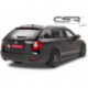 Seitenschweller für SKODA Superb II SS346