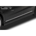 Seitenschweller für VW Passat 3C B6 / B7 SS162