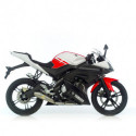 SBK GPstyle YAMAHA YZF-R 125 i.e. 1x1 INOX FULL SYSTEM 1/1 8124