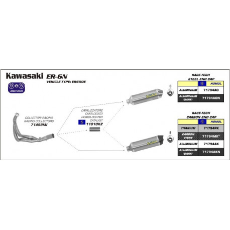Arrow Endschalldämpfer Race-Tech Aluminium Dark Edelstahl-Endkappe KAWASAKI ER 6 N 71794AON