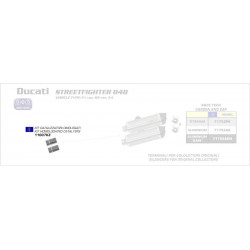 Einschubkatalysator für verschiedene Modelle DUCATI STREETFIGHTER 848 11007KZ