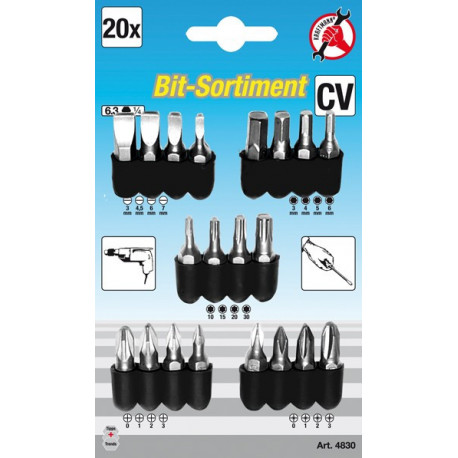 Bit-Sortiment, 6,3 (1/4), 20-tlg.