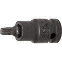 Kraft-T-Profil-Einsatz, T40, 12,5 (1/2)