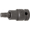 Kraft-T-Profil-Einsatz, T50, 12,5 (1/2)