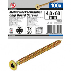 Mehrzweckschrauben, 4,0x60 mm, T20, 100-tlg.